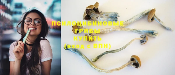 сатива Заводоуковск