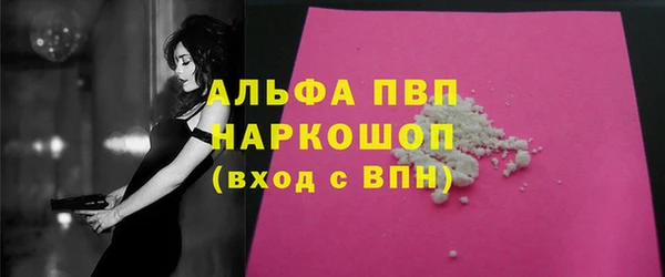 сатива Заводоуковск