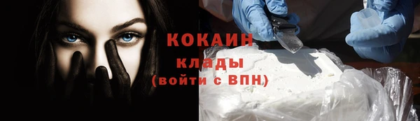 сатива Заводоуковск