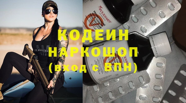 сатива Заводоуковск