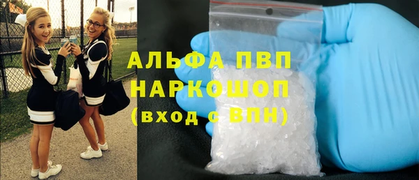 сатива Заводоуковск