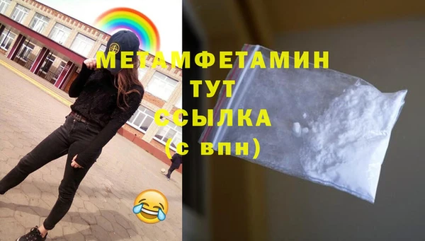 сатива Заводоуковск